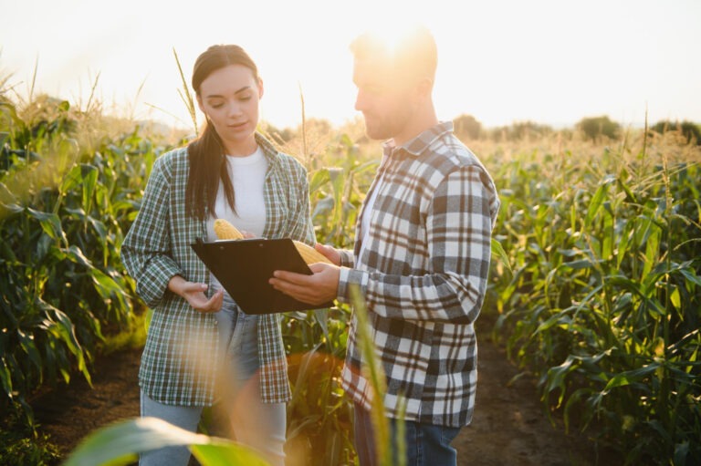 valuación de predios rurales